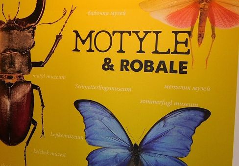 Muzeum Motyli (Łeba)