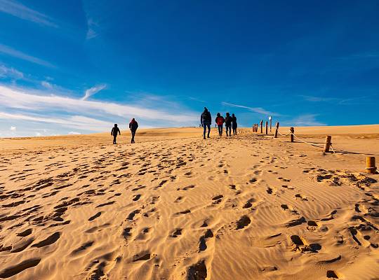 Grafika Wydma Łącka