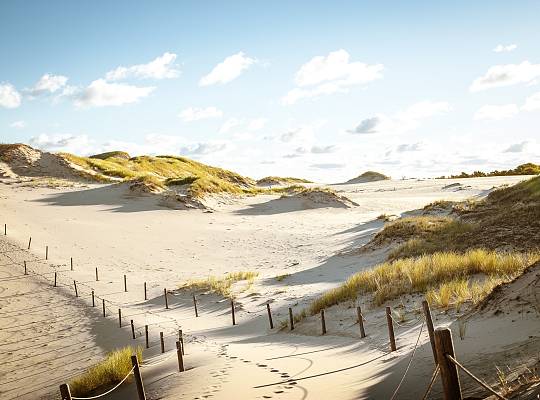 Grafika Ruchome Wydmy w Słowińskim Parku Narodowym