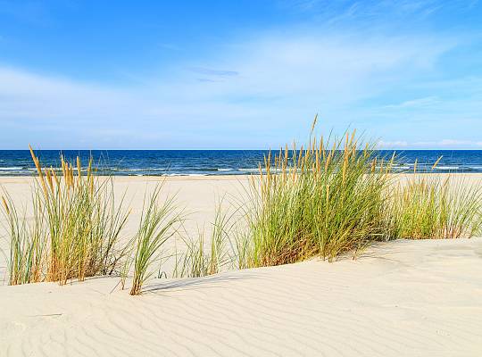Grafika Złociste plaże w Łebie