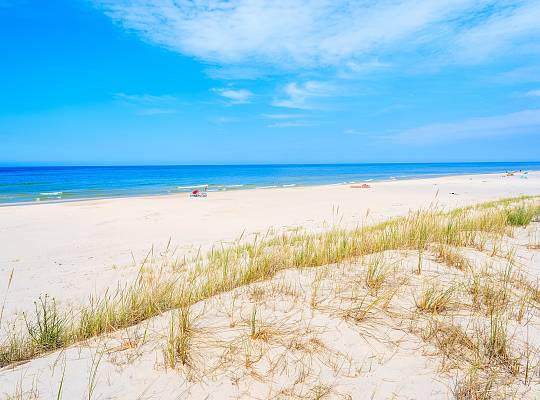 Grafika Plaże w Łebie