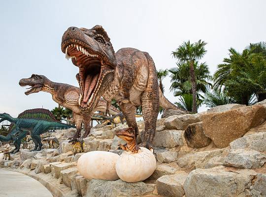 Grafika Łeba Park – Park Dinozaurów (Nowęcin)