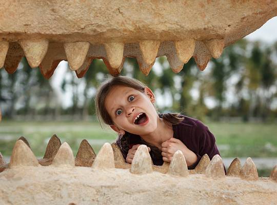 Grafika Park Dinozaurów