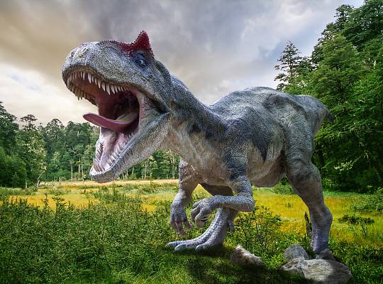 Grafika Rodzinny park edukacyjno-rozrywkowy w Nowęcinie