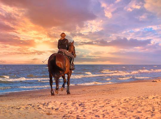 Grafika Konne przejażdżki nad brzegiem Bałtyku