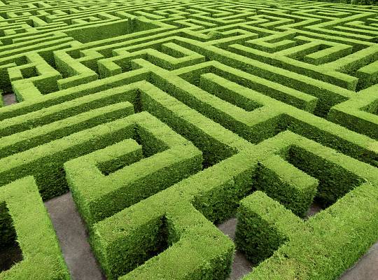 Grafika Platformy widokowe w Paku Łeba