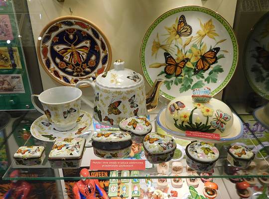 Grafika Całoroczne muzeum motyli w centrum Łeby