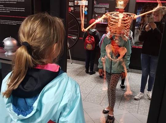 Grafika Interaktywna ekspozycja iluzji optycznych