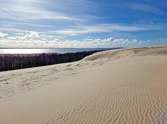 Grafika Łebsko akwen w sercu Słowińskiego Parku Narodowego